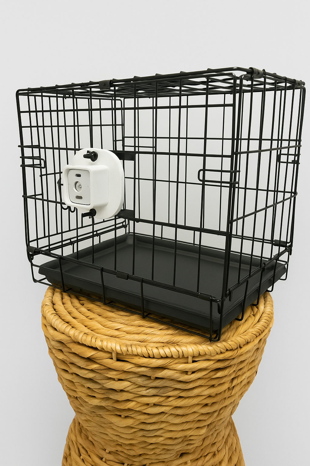 Kennel Monitoring System